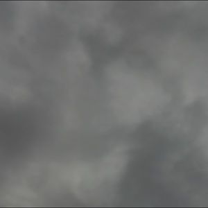 Meet your Posher, Gracie